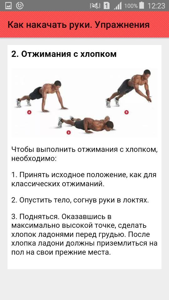 Как накачать мышцы рук