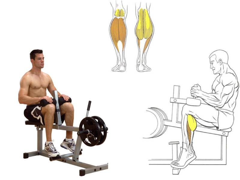 Подъем на носки стоя: описание упражнения, инструкция по выполнению - tony.ru