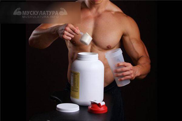 Спортивное питание для набора мышечной массы