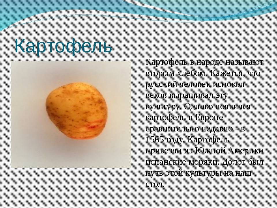 Водка чистые росы: история, обзор, виды, + интересные факты