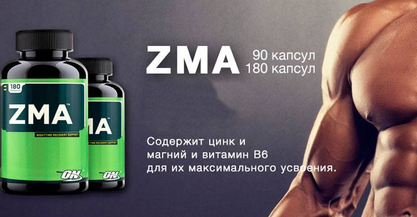 Где купить спортивное питание zma. для чего и как принимать