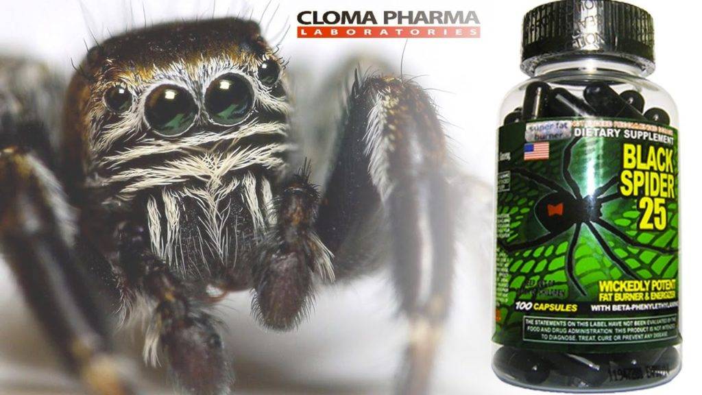 Таблетки для похудения черная вдова. black spider 25 ephedra отзывы | школа красоты