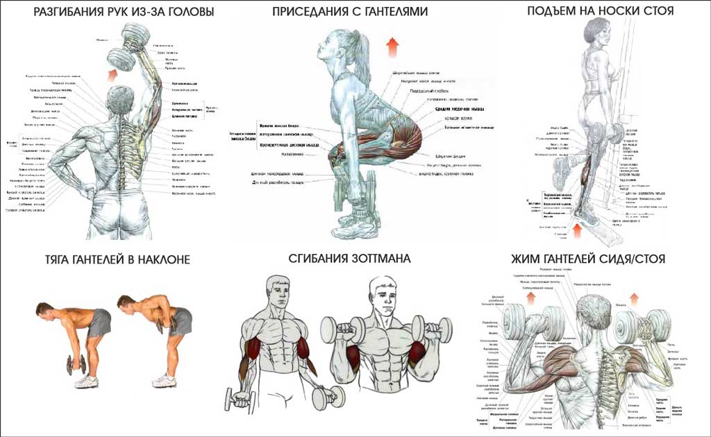 Как накачать большую попу в домашних условиях. как быстро увеличить ягодицы в объеме - упражнения для девушек