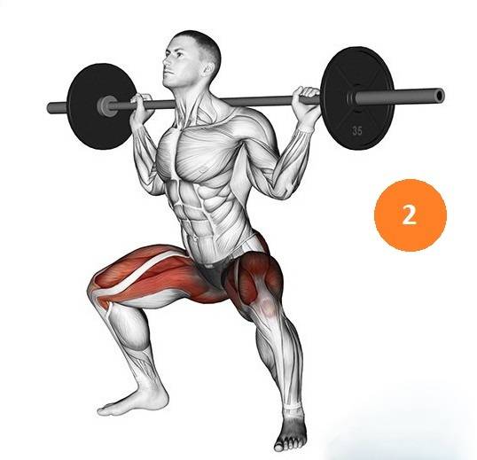 Как правильно делать приседания со штангой