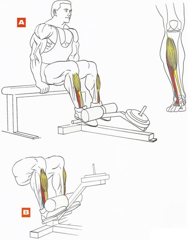 Подъем на носки стоя в тренажере - мощный эффект!