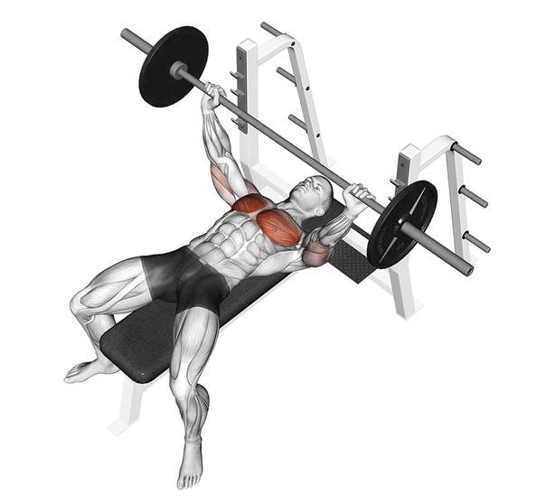 Жим штанги лежа: техника выполнения упражнения и нормативы
