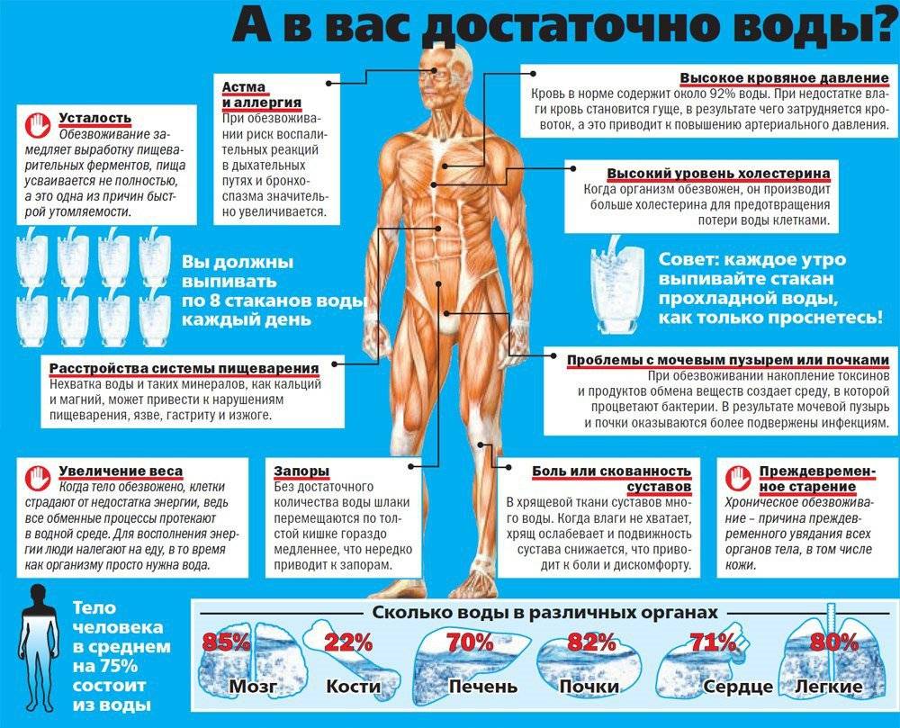 Сколько нужно пить воды в день спортсменам