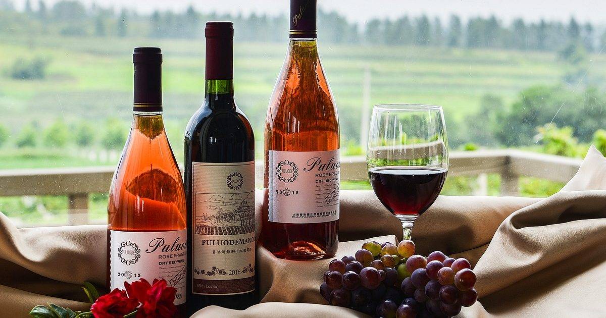 Вина бургундии — классификация и качество бургундских вин