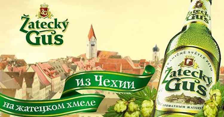 Пиво «жатецкий гусь»: верность традициям