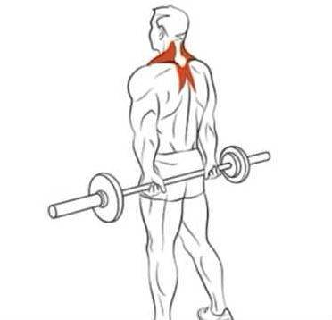 Тяга ли хейни