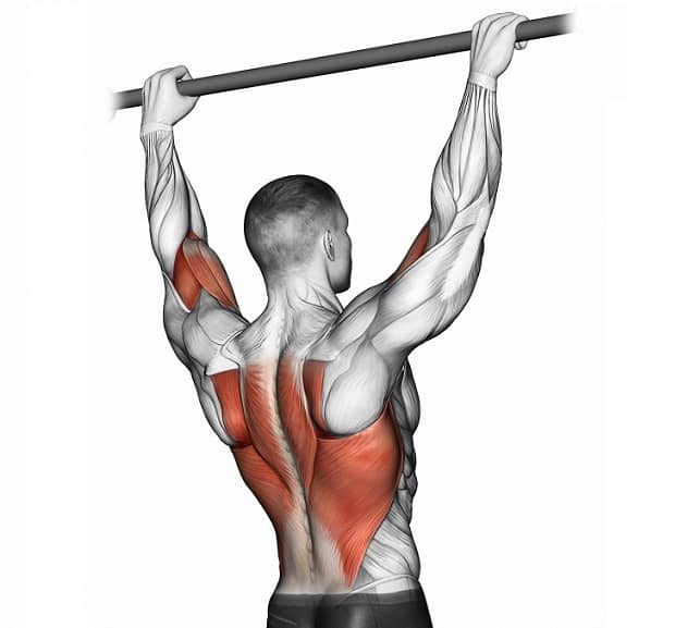 Подтягивания: все виды данного упражнения+техники для начинающих