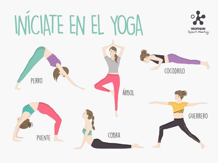 Подборка видео с уроками по йоге для начинающих в домашних условиях