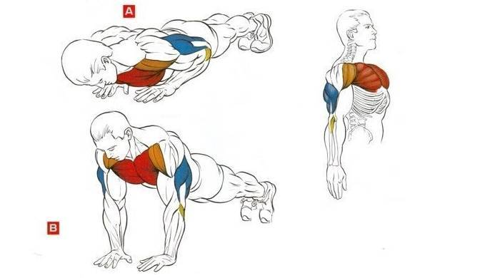 Как быстро накачать мышцы в домашних условиях, лучшие упражнения