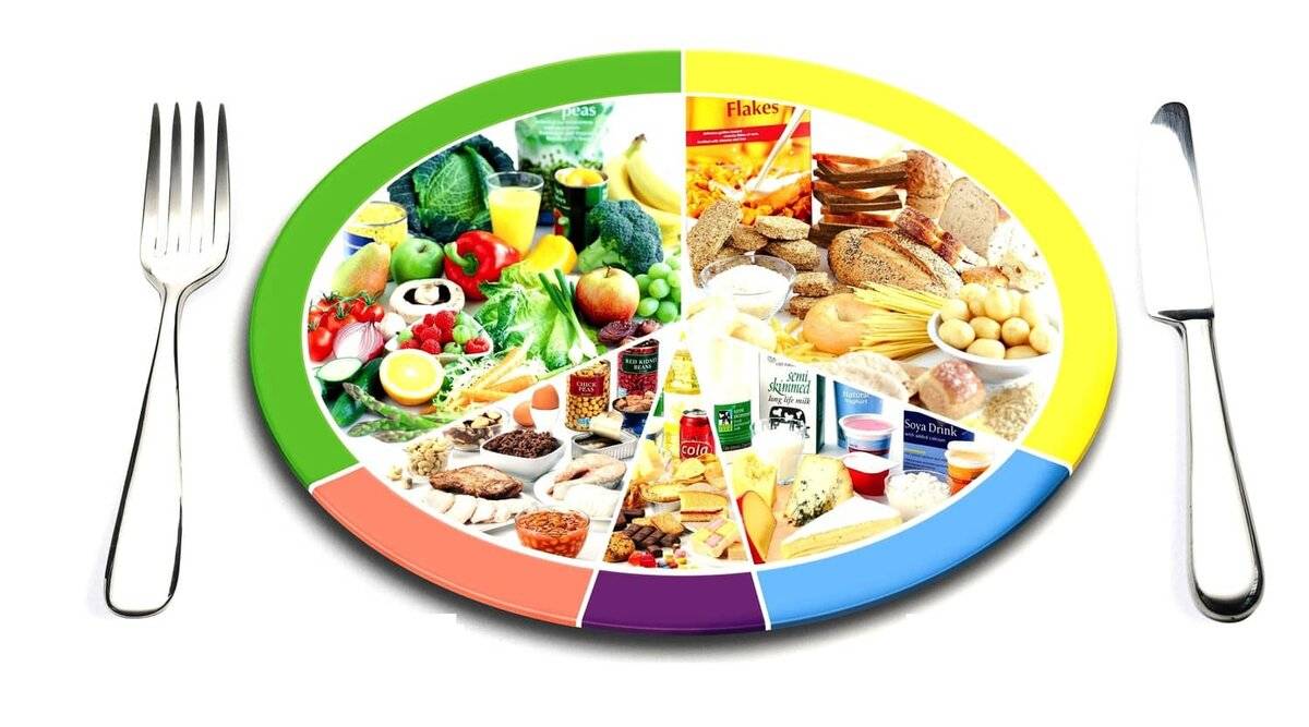 Особенности питания при умственном и физическом труде