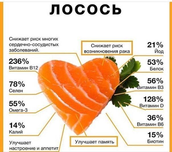 Голова семги рецепт калорийность