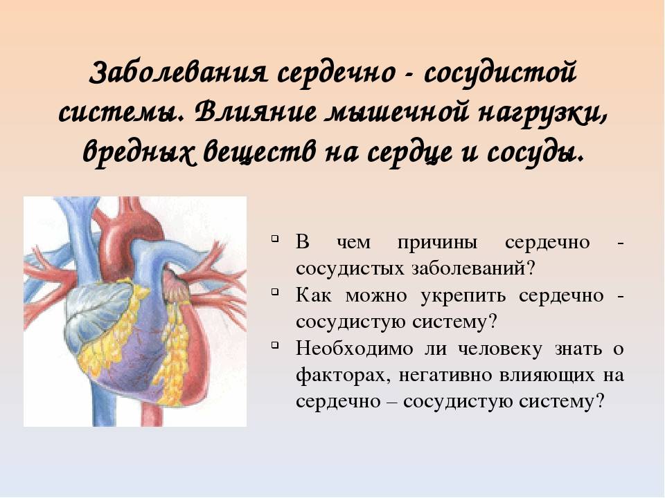 Тренируем сердце 5 класс обж презентация