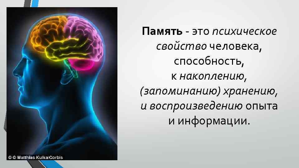 Информация память внимание. Память это в психологии. Память презентация. Возможности человеческого мозга. Проект память человека.