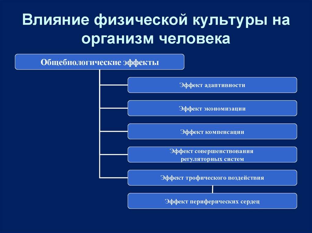 Влияние регулярных занятий физическими упражнениями на здоровье человека презентация