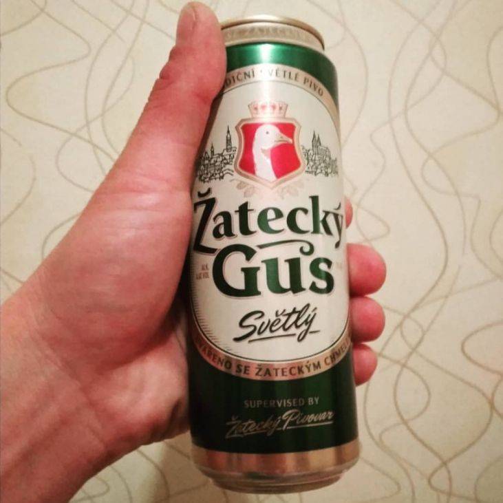 Пиво «жатецкий гусь»: верность традициям