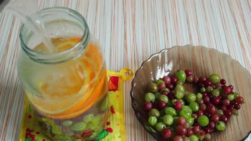 Настойка из крыжовника: 3 рецепта в домашних условиях