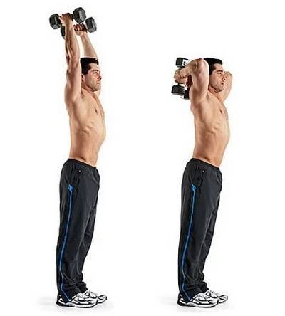 Французский жим с гантелей стоя или сидя: техника выполнения