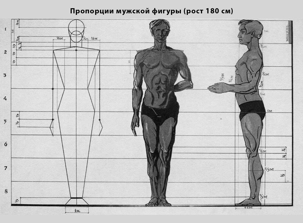 Изображение в полный рост как называется