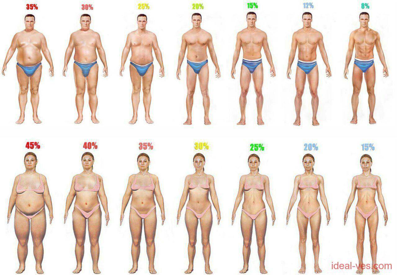 тест какого размера у тебя грудь фото 72