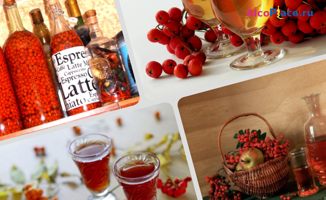 Рябиновая настойка на самогоне - рецепты, свойства, советы