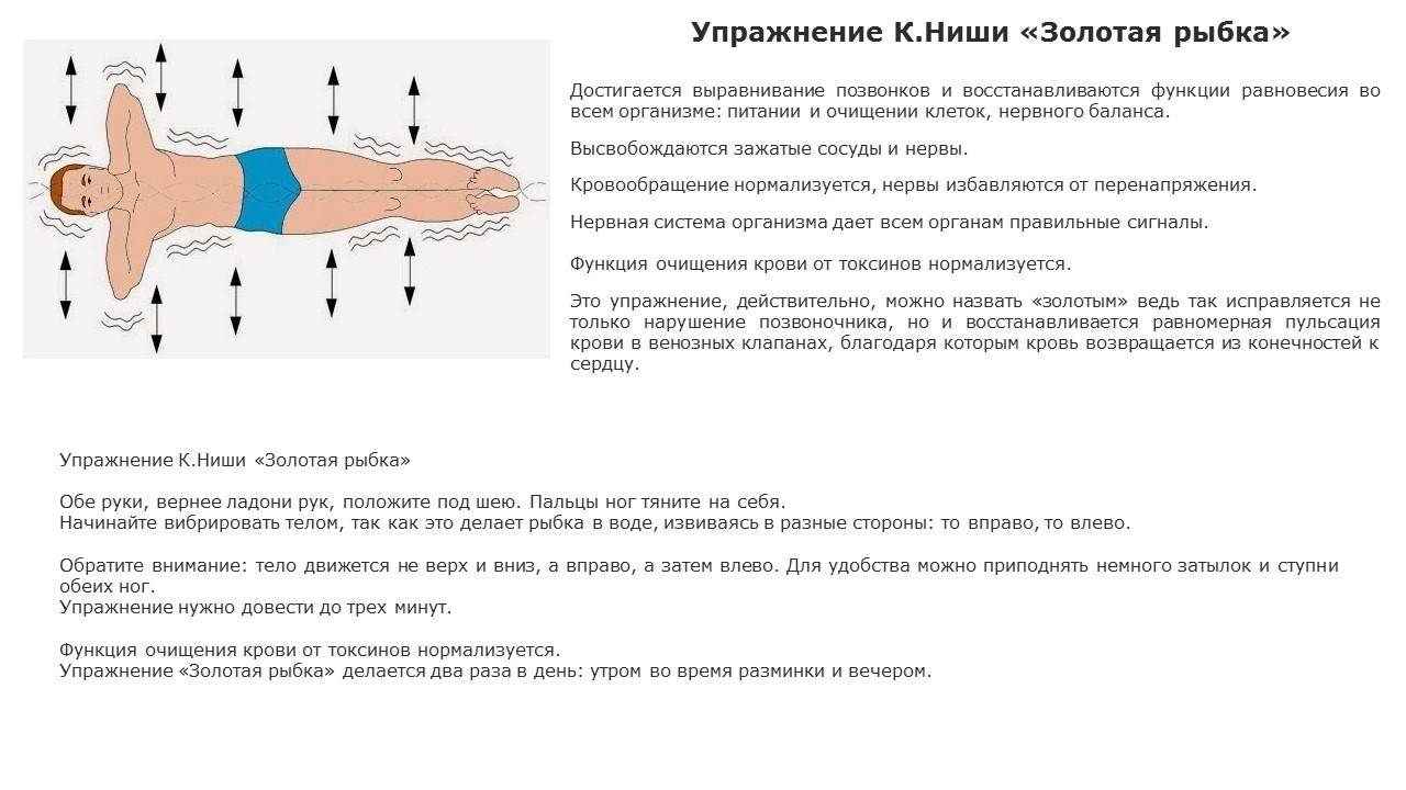 Упражнение золотая рыбка для позвоночника противопоказания