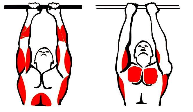 Виды подтягиваний на турнике. какие выбрать?