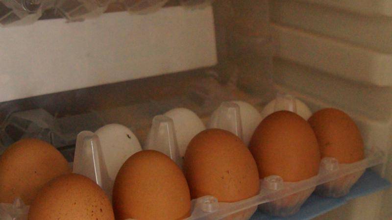 Можно ли замораживать куриные яйца в морозилке?