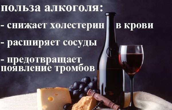 50 фактов о том, что алкоголь не только вреден, но и полезен. и для души, и для тела