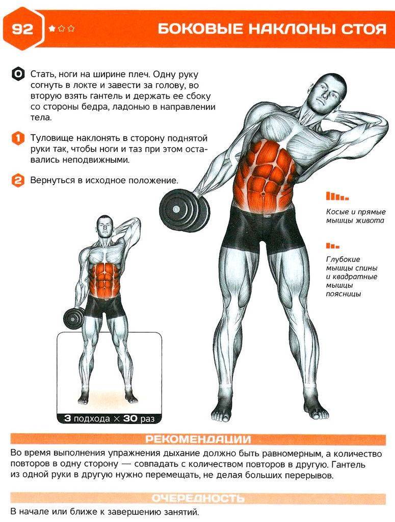 Боковая планка: как правильно делать упражнение и какие мышцы работают