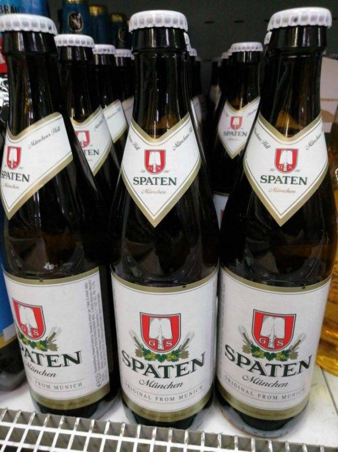 Сливовое вино: 6 рецептов в домашних условиях + советы и видео