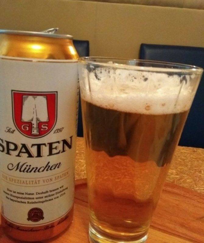 Пиво красный восток — характеристика и разнообразие видов