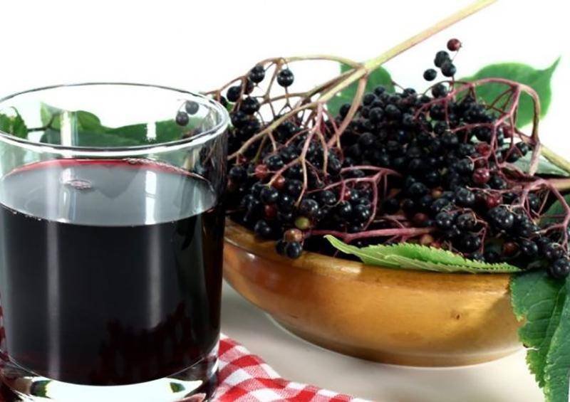 Какие ягоды чистят и укрепляют стенки сосудов, разжижают кровь — топ 8