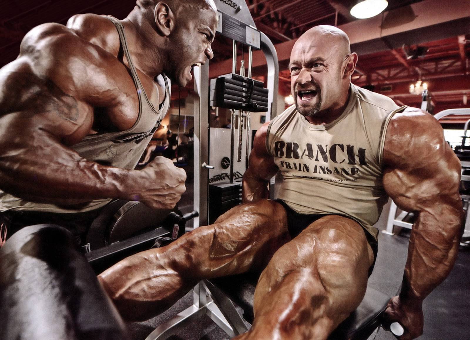 Джей катлер: биография, программа тренировок, диета, антропометрические данные