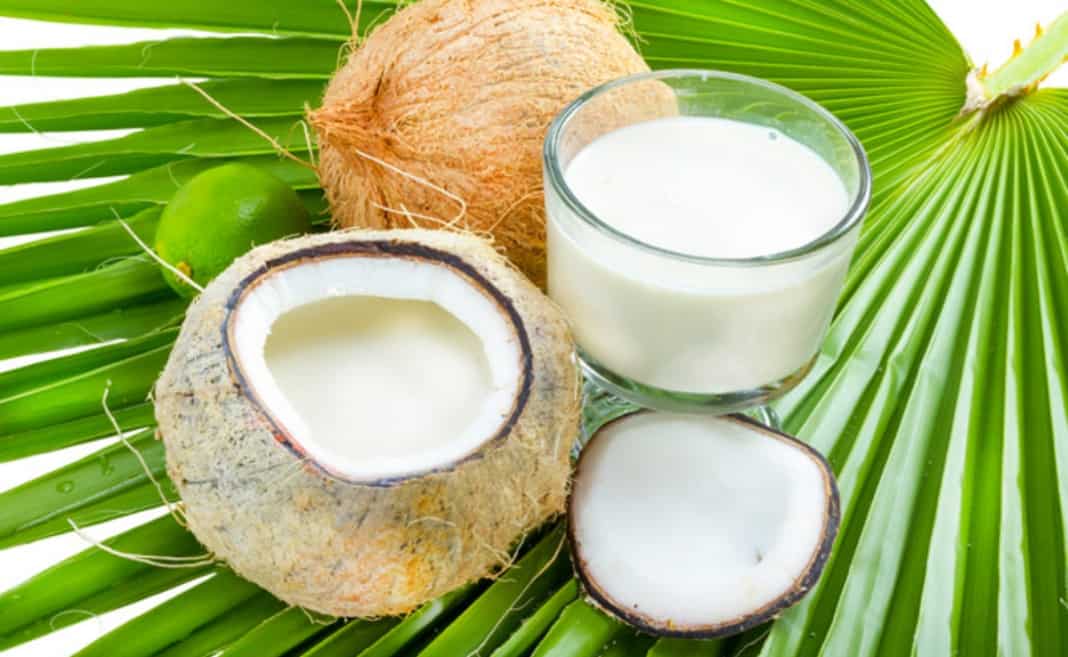 Кокос: пищевая ценность, полезные свойства и применение