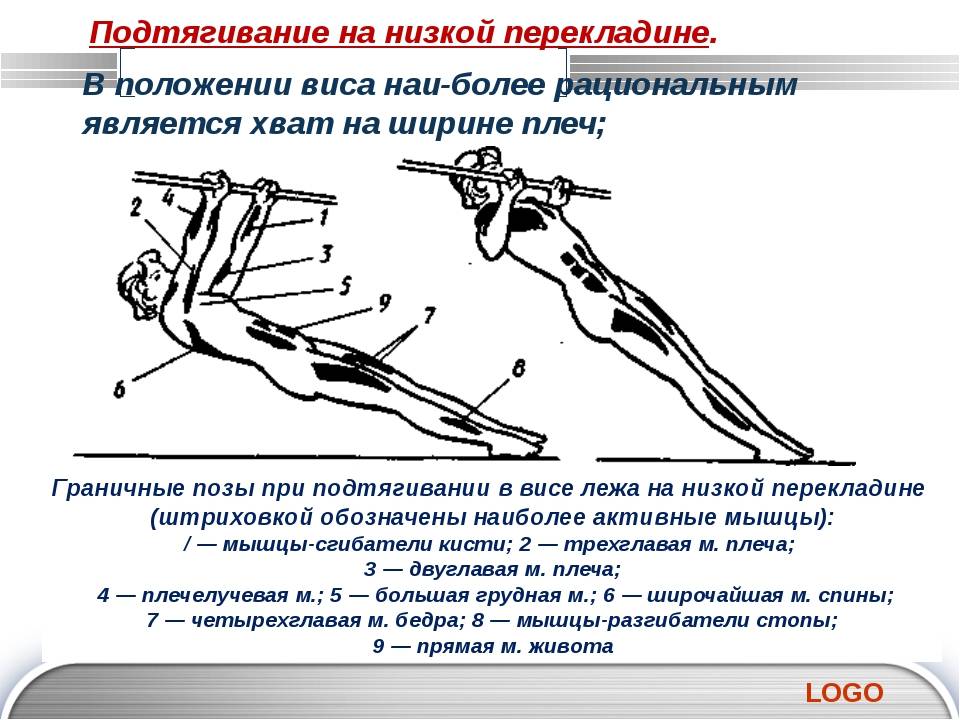Горизонтальные подтягивания