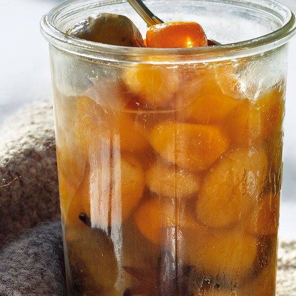 Самогон из абрикосов в домашних условиях: простой, пошаговый рецепт с видео