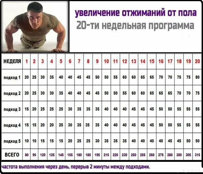 Сколько раз в неделю нужно качать