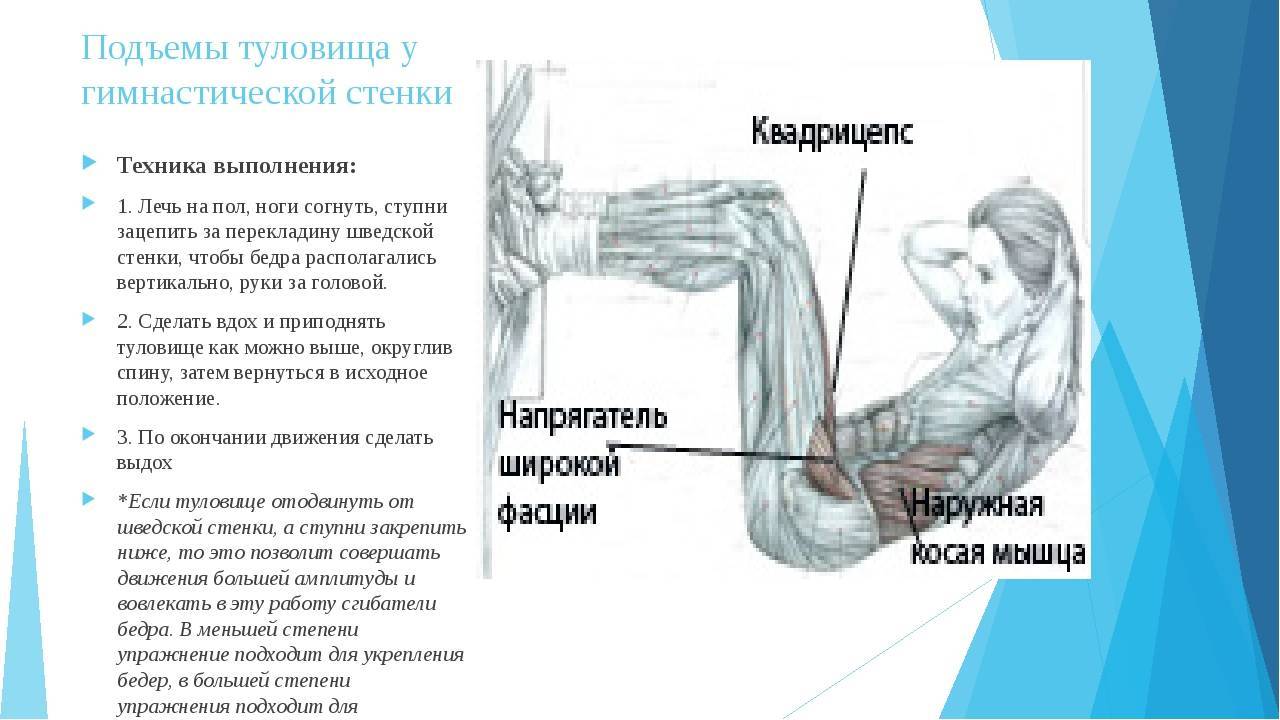 Классические подъемы туловища. подъем туловища