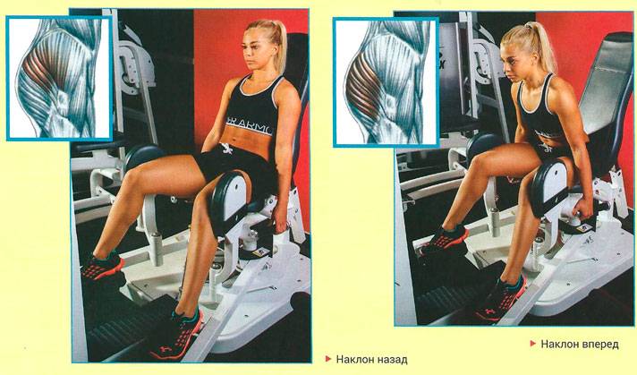 Сведение рук в тренажере — sportfito — сайт о спорте и здоровом образе жизни
