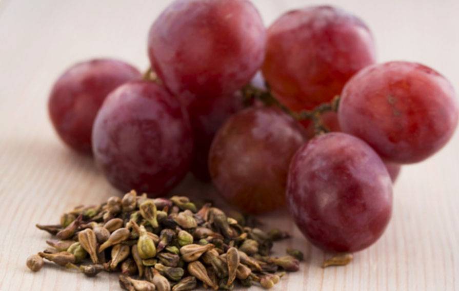 В чем польза винограда для здоровья человека