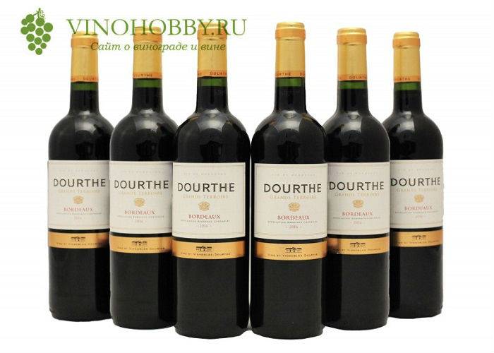 Совиньон блан: что нужно знать | просто о вине | яндекс дзен