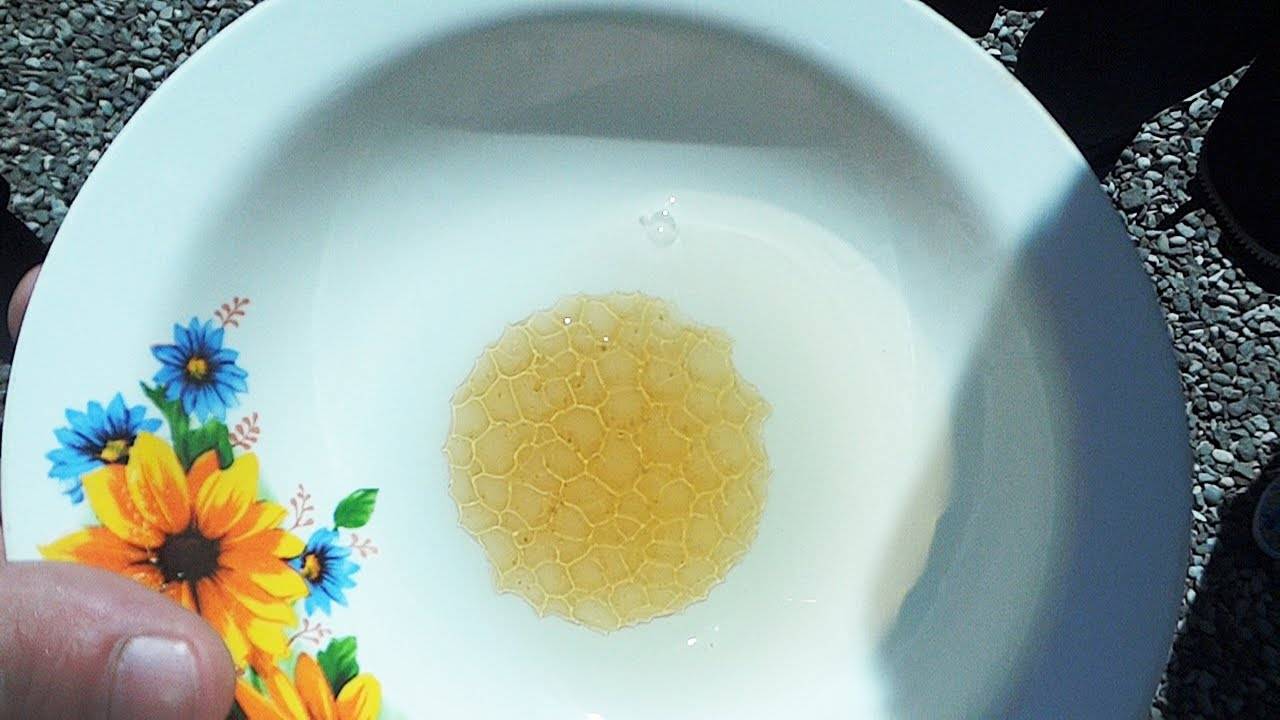 Проверить мед в домашних условиях водой. Генетическая память меда. Мед на тарелке с водой соты. Натуральный мед в воде. Проверка меда водой.