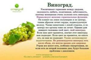 Чем полезен виноград: свойства, влияние на организм, вред и особенности винограда (130 фото)