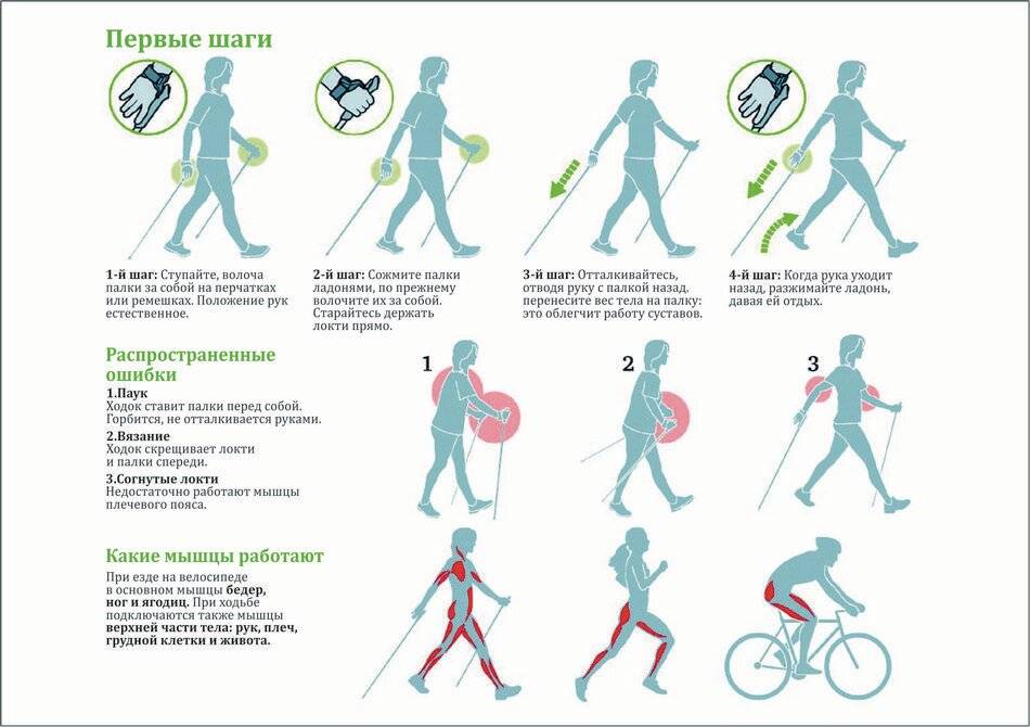 Скандинавская ходьба - польза, техника, правила, снаряжение, отзывы. выбор и покупка палок для скандинавской ходьбы