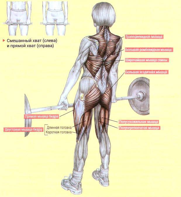 Становая тяга - техника выполнения и полное руководство