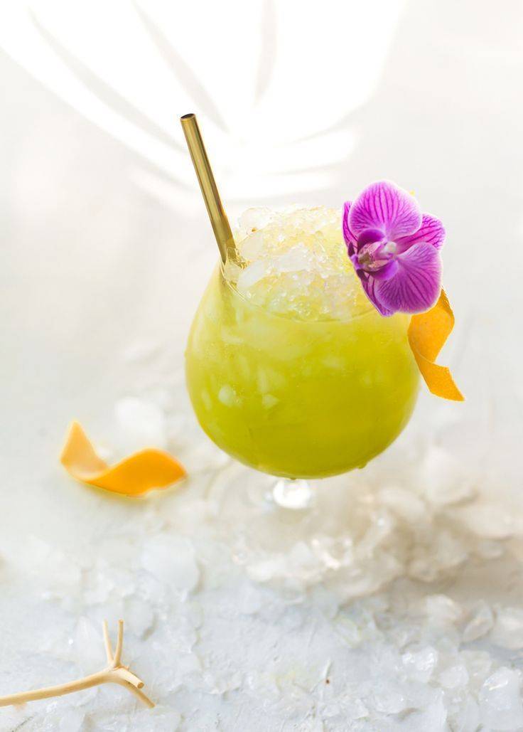 Эвергрин | fairy tail wiki | fandom